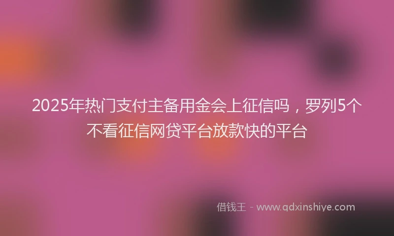 2025年热门支付主备用金会上征信吗，罗列5个不看征信网贷平台放款快的平台