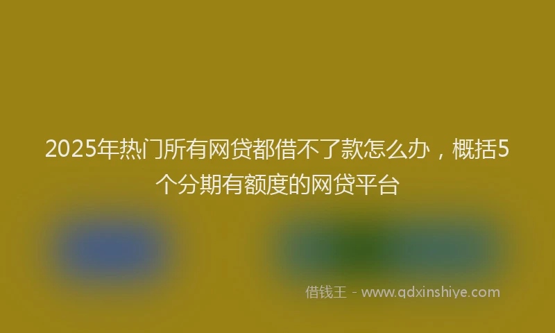 2025年热门所有网贷都借不了款怎么办，概括5个分期有额度的网贷平台