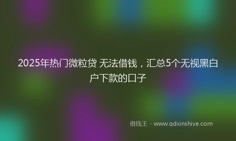 2025年热门微粒贷 无法借钱，汇总5个无视黑白户下款的口子