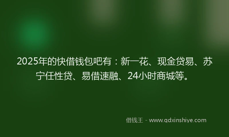 2025年的快借钱包吧有：新一花、现金贷易、苏宁任性贷、易借速融、24小时商城等。