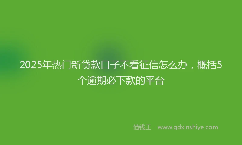 2025年热门新贷款口子不看征信怎么办，概括5个逾期必下款的平台