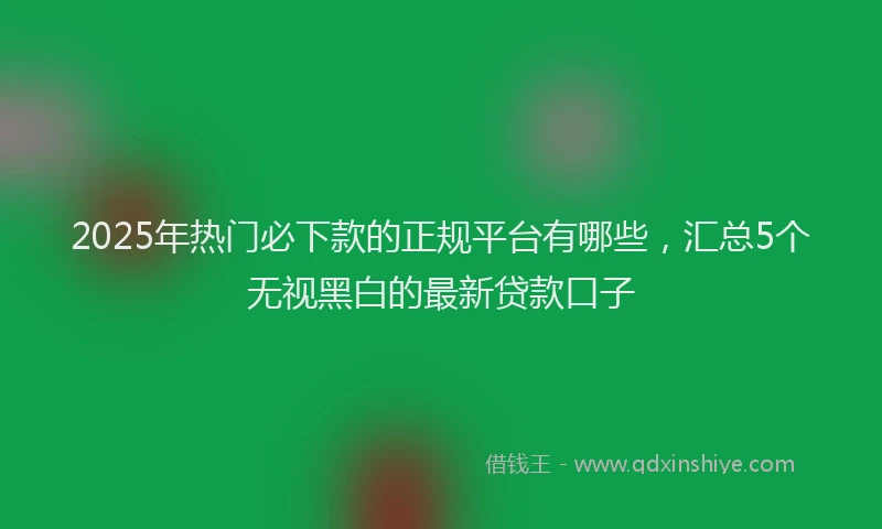 2025年热门必下款的正规平台有哪些，汇总5个无视黑白的最新贷款口子