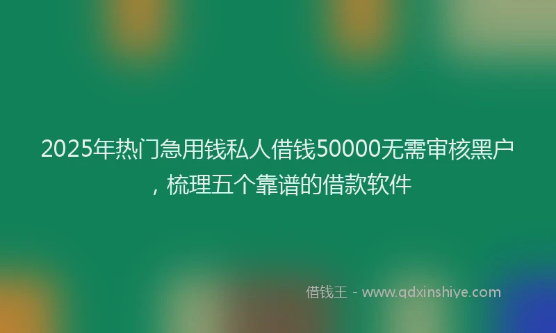 2025年热门急用钱私人借钱50000无需审核黑户，梳理五个靠谱的借款软件