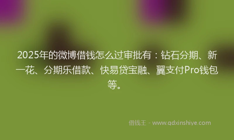 2025年的微博借钱怎么过审批有：钻石分期、新一花、分期乐借款、快易贷宝融、翼支付Pro钱包等。