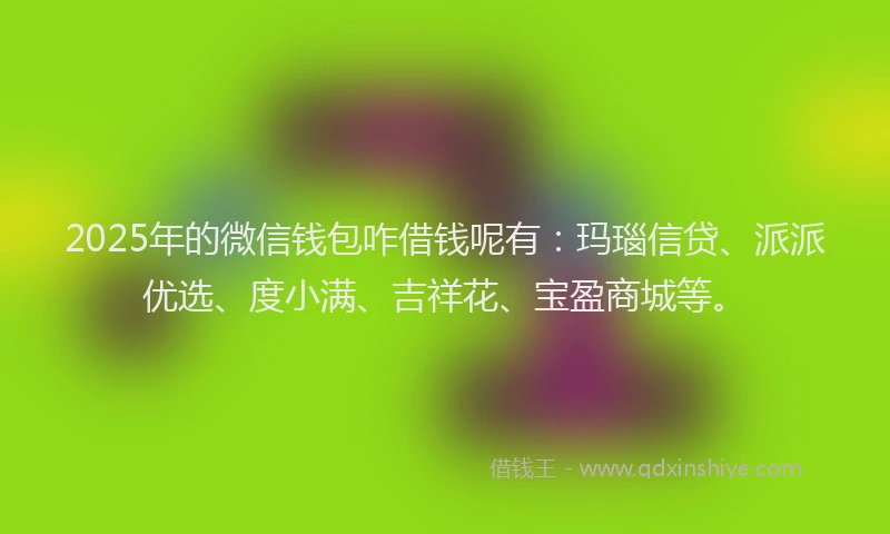 2025年的微信钱包咋借钱呢有：玛瑙信贷、派派优选、度小满、吉祥花、宝盈商城等。
