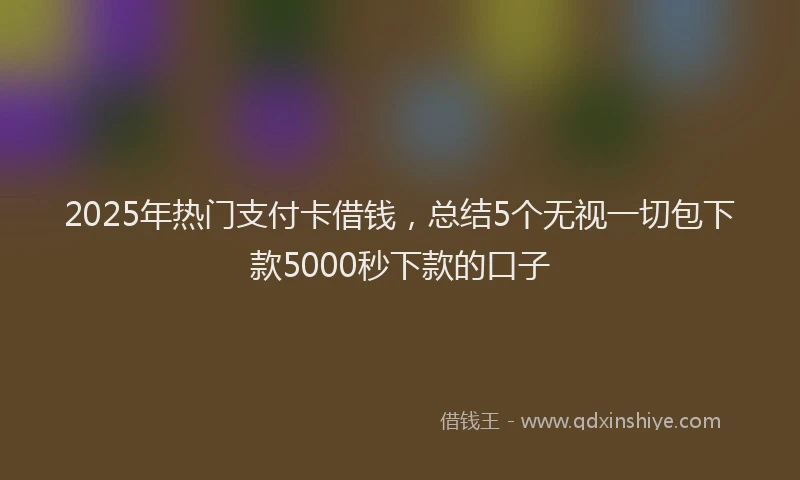 2025年热门支付卡借钱，总结5个无视一切包下款5000秒下款的口子
