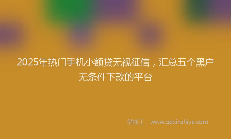 2025年热门手机小额贷无视征信，汇总五个黑户无条件下款的平台