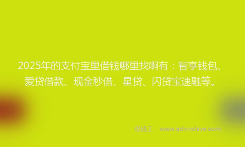2025年的支付宝里借钱哪里找啊有：智享钱包、爱贷借款、现金秒借、星贷、闪贷宝速融等。