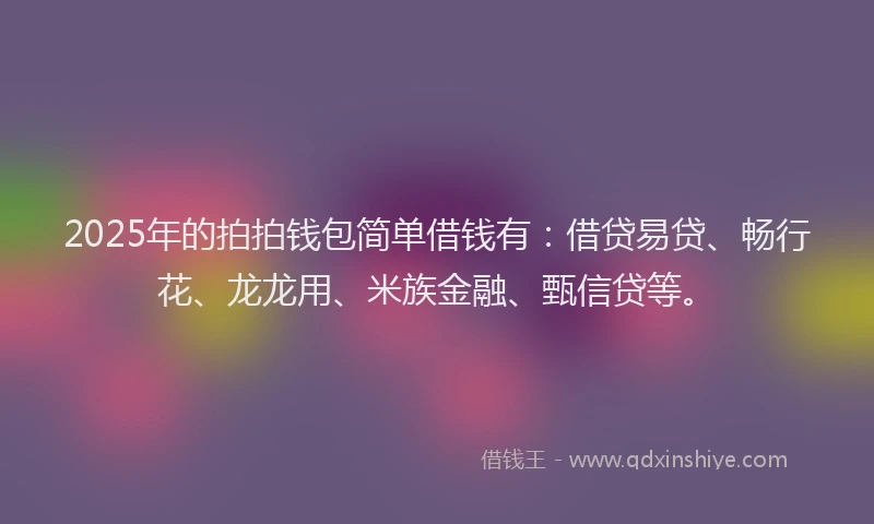 2025年的拍拍钱包简单借钱有：借贷易贷、畅行花、龙龙用、米族金融、甄信贷等。