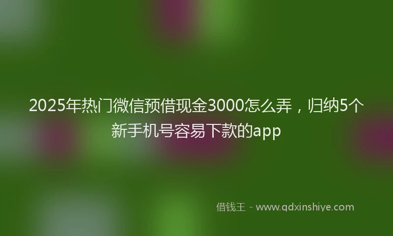 2025年热门微信预借现金3000怎么弄，归纳5个新手机号容易下款的app
