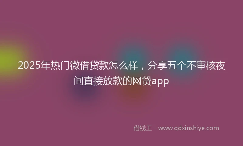 2025年热门微借贷款怎么样，分享五个不审核夜间直接放款的网贷app