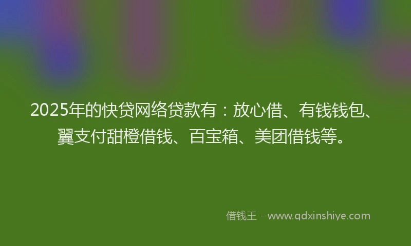 2025年的快贷网络贷款有：放心借、有钱钱包、翼支付甜橙借钱、百宝箱、美团借钱等。