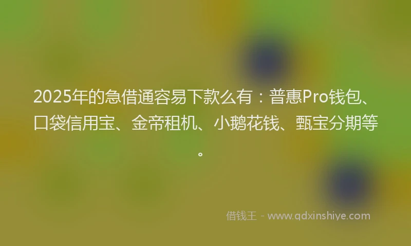 2025年的急借通容易下款么有：普惠Pro钱包、口袋信用宝、金帝租机、小鹅花钱、甄宝分期等。
