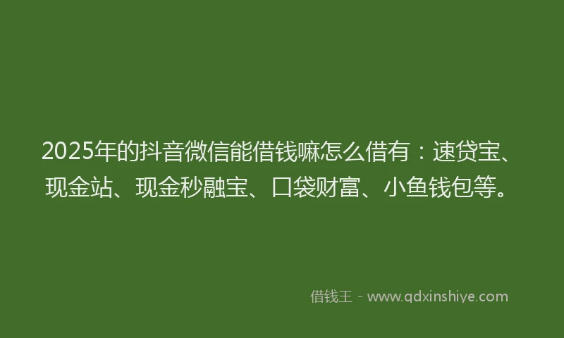 2025年的抖音微信能借钱嘛怎么借有：速贷宝、现金站、现金秒融宝、口袋财富、小鱼钱包等。