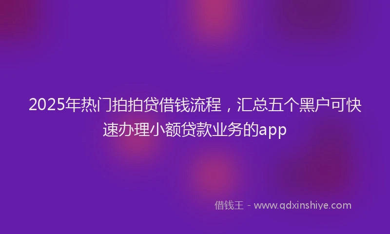 2025年热门拍拍贷借钱流程，汇总五个黑户可快速办理小额贷款业务的app