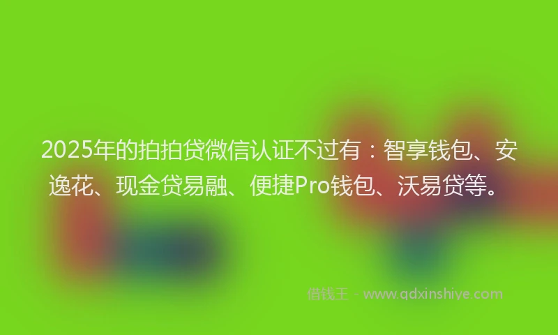 2025年的拍拍贷微信认证不过有：智享钱包、安逸花、现金贷易融、便捷Pro钱包、沃易贷等。