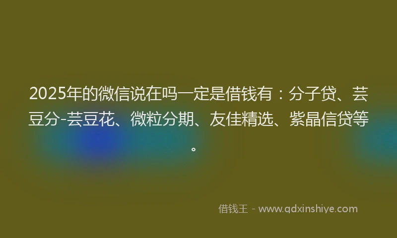2025年的微信说在吗一定是借钱有：分子贷、芸豆分-芸豆花、微粒分期、友佳精选、紫晶信贷等。