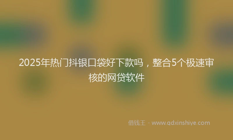 2025年热门抖银口袋好下款吗，整合5个极速审核的网贷软件