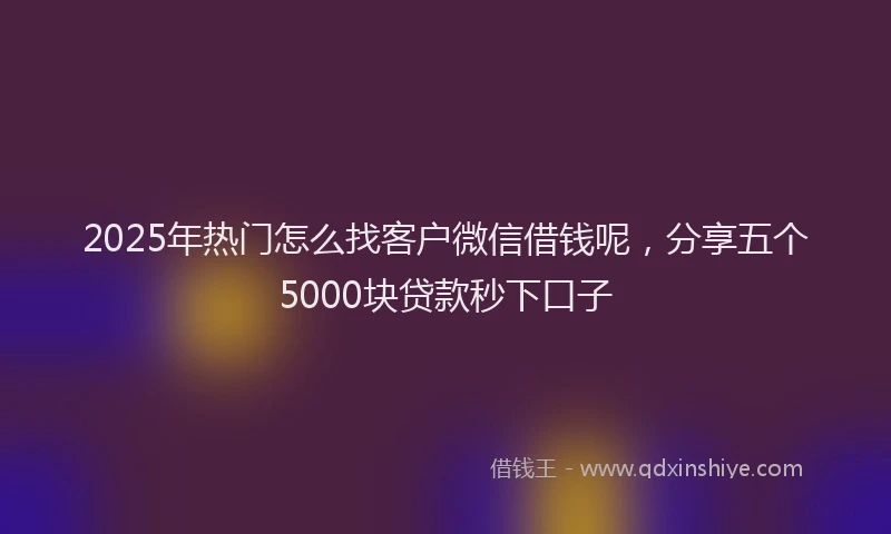 2025年热门怎么找客户微信借钱呢，分享五个5000块贷款秒下口子