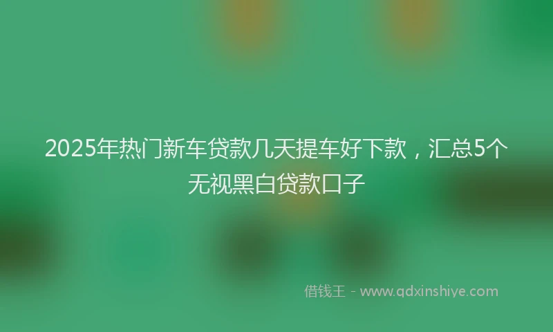2025年热门新车贷款几天提车好下款，汇总5个无视黑白贷款口子