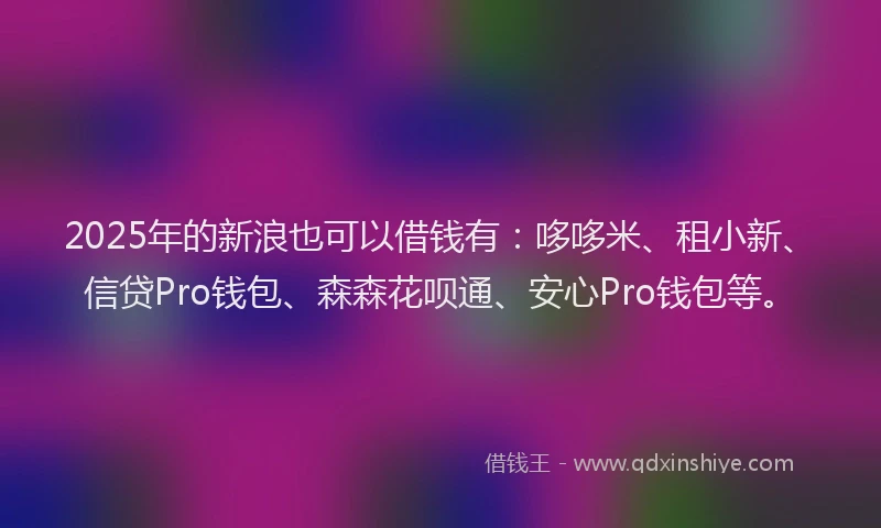 2025年的新浪也可以借钱有：哆哆米、租小新、信贷Pro钱包、森森花呗通、安心Pro钱包等。