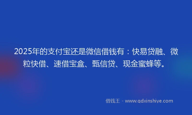 2025年的支付宝还是微信借钱有：快易贷融、微粒快借、速借宝盒、甄信贷、现金蜜蜂等。