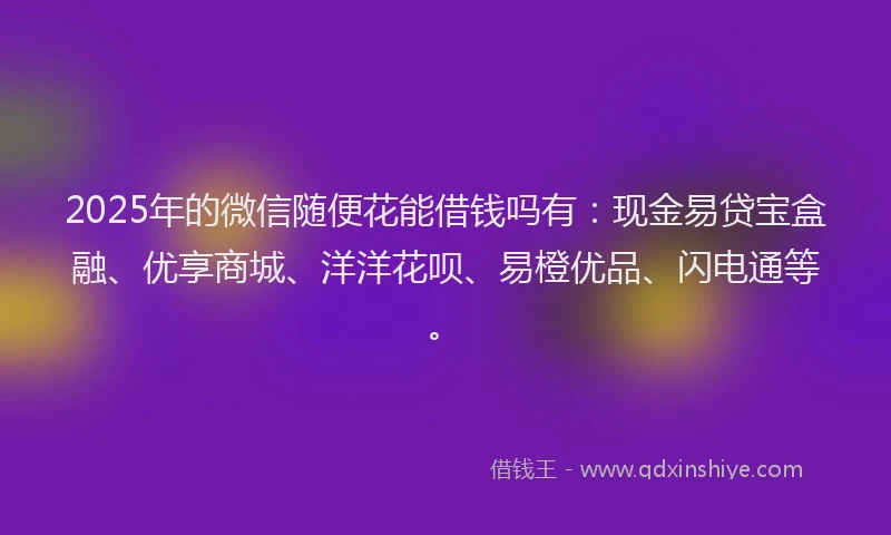 2025年的微信随便花能借钱吗有：现金易贷宝盒融、优享商城、洋洋花呗、易橙优品、闪电通等。