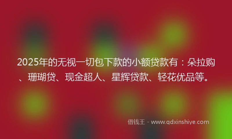 2025年的无视一切包下款的小额贷款有：朵拉购、珊瑚贷、现金超人、星辉贷款、轻花优品等。