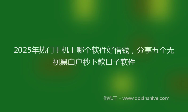 2025年热门手机上哪个软件好借钱，分享五个无视黑白户秒下款口子软件