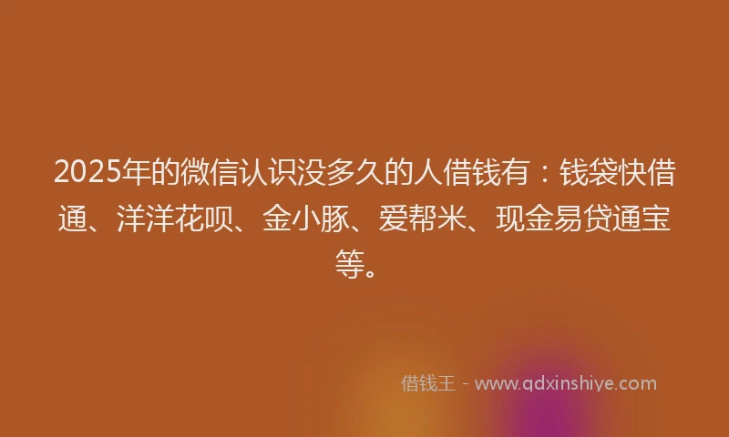 2025年的微信认识没多久的人借钱有：钱袋快借通、洋洋花呗、金小豚、爱帮米、现金易贷通宝等。
