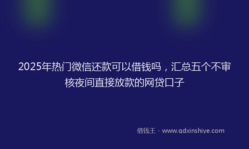 2025年热门微信还款可以借钱吗，汇总五个不审核夜间直接放款的网贷口子