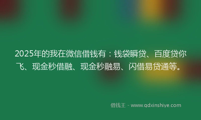 2025年的我在微信借钱有：钱袋瞬贷、百度贷你飞、现金秒借融、现金秒融易、闪借易贷通等。