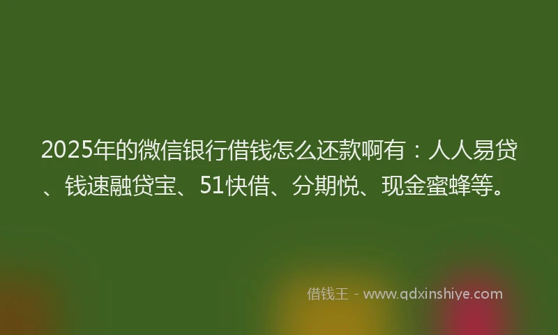 2025年的微信银行借钱怎么还款啊有：人人易贷、钱速融贷宝、51快借、分期悦、现金蜜蜂等。