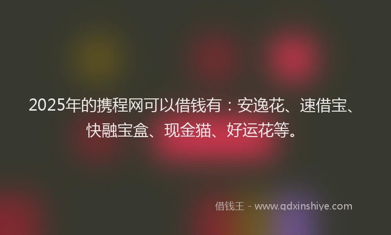 2025年的携程网可以借钱有：安逸花、速借宝、快融宝盒、现金猫、好运花等。