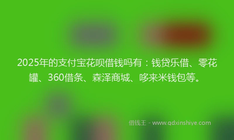 2025年的支付宝花呗借钱吗有：钱贷乐借、零花罐、360借条、森泽商城、哆来米钱包等。