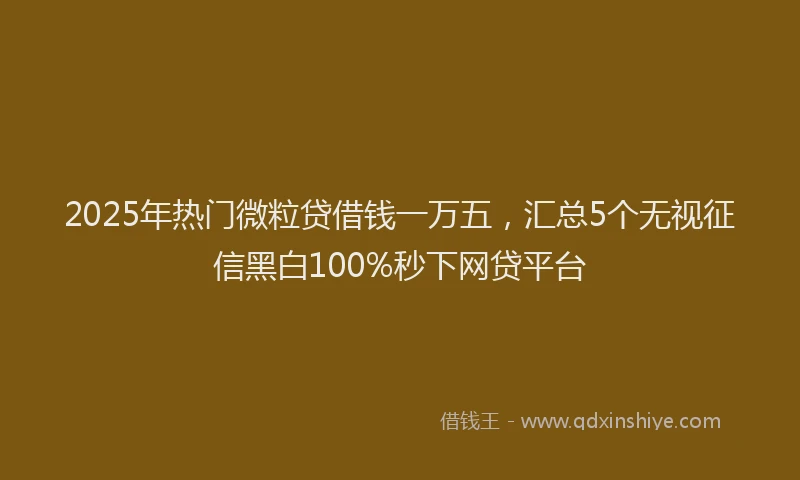 2025年热门微粒贷借钱一万五，汇总5个无视征信黑白100%秒下网贷平台