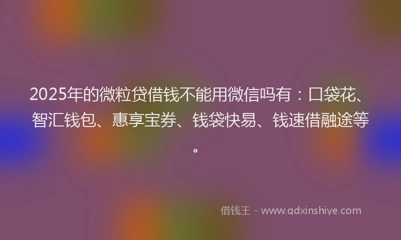 2025年的微粒贷借钱不能用微信吗有：口袋花、智汇钱包、惠享宝券、钱袋快易、钱速借融途等。