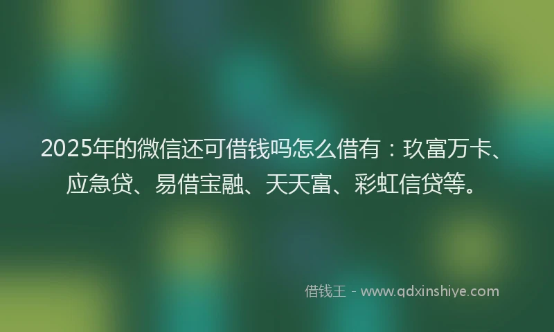 2025年的微信还可借钱吗怎么借有：玖富万卡、应急贷、易借宝融、天天富、彩虹信贷等。