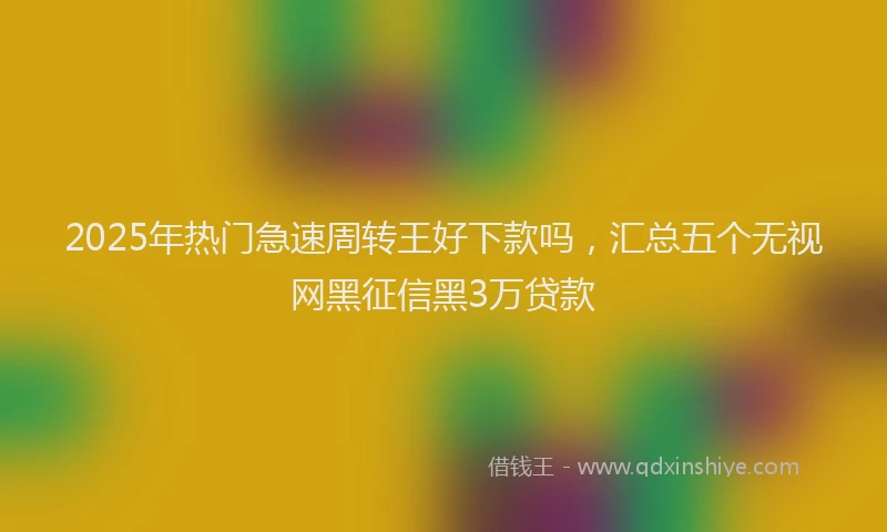 2025年热门急速周转王好下款吗，汇总五个无视网黑征信黑3万贷款