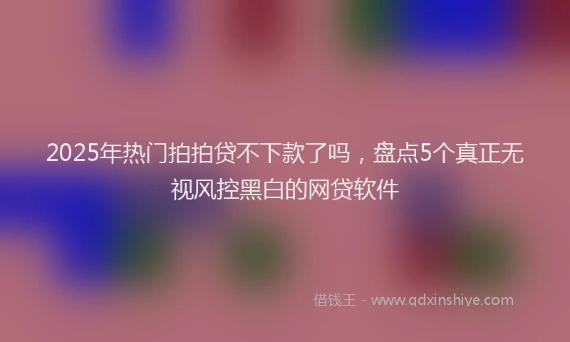 2025年热门拍拍贷不下款了吗，盘点5个真正无视风控黑白的网贷软件