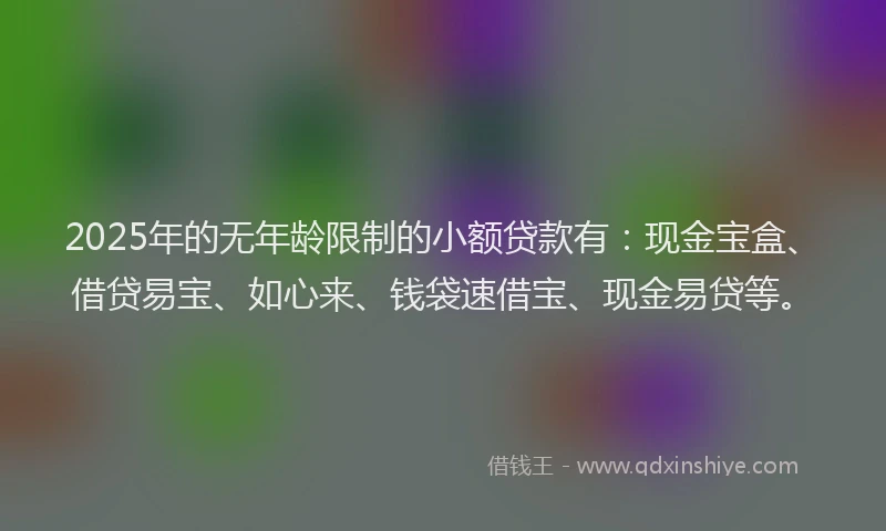 2025年的无年龄限制的小额贷款有：现金宝盒、借贷易宝、如心来、钱袋速借宝、现金易贷等。