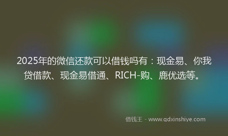 2025年的微信还款可以借钱吗有：现金易、你我贷借款、现金易借通、RICH-购、鹿优选等。