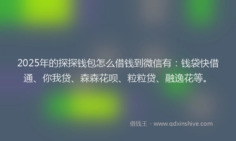 2025年的探探钱包怎么借钱到微信有：钱袋快借通、你我贷、森森花呗、粒粒贷、融逸花等。