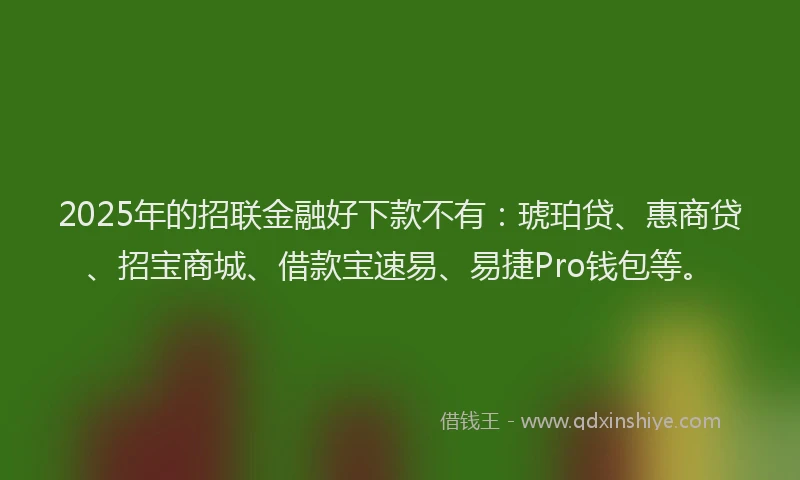 2025年的招联金融好下款不有：琥珀贷、惠商贷、招宝商城、借款宝速易、易捷Pro钱包等。