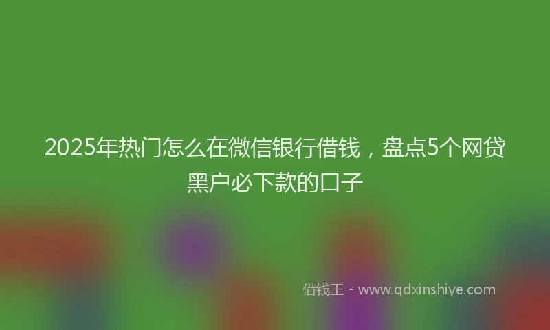 2025年热门怎么在微信银行借钱，盘点5个网贷黑户必下款的口子