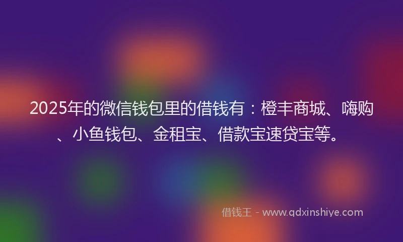 2025年的微信钱包里的借钱有：橙丰商城、嗨购、小鱼钱包、金租宝、借款宝速贷宝等。