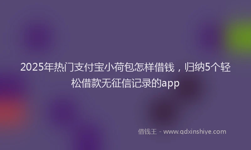 2025年热门支付宝小荷包怎样借钱，归纳5个轻松借款无征信记录的app