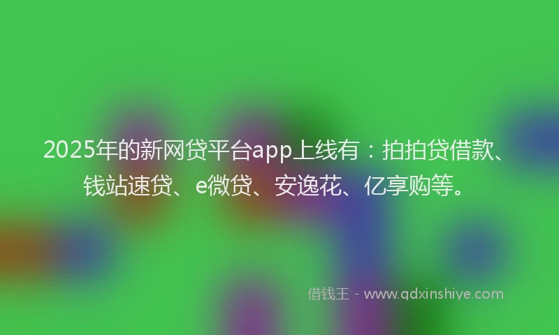 2025年的新网贷平台app上线有：拍拍贷借款、钱站速贷、e微贷、安逸花、亿享购等。