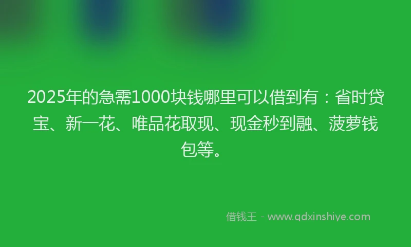 2025年的急需1000块钱哪里可以借到有：省时贷宝、新一花、唯品花取现、现金秒到融、菠萝钱包等。
