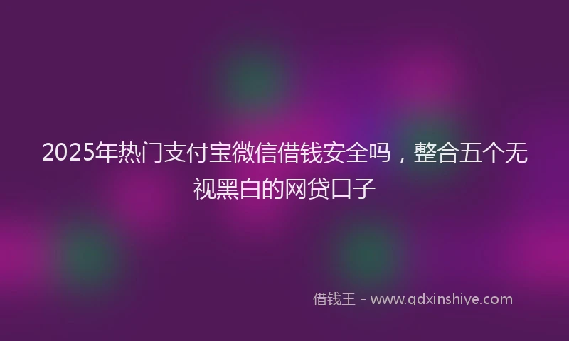 2025年热门支付宝微信借钱安全吗，整合五个无视黑白的网贷口子